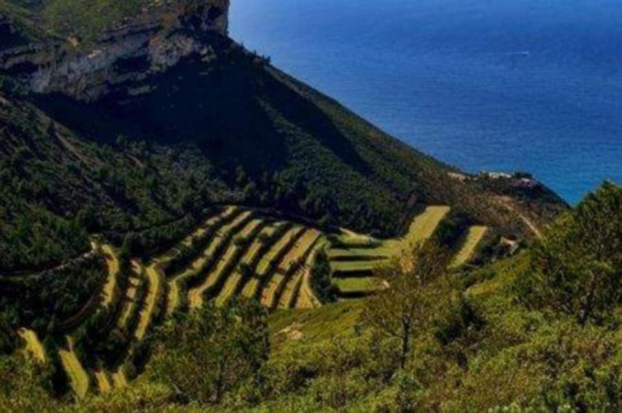 Le Son Des Vagues Vue Mer 卡西斯 外观 照片